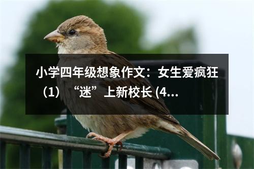 小學(xué)四年級(jí)想象作文：女生愛瘋狂（1）“迷”上新校長(zhǎng) (450字)
