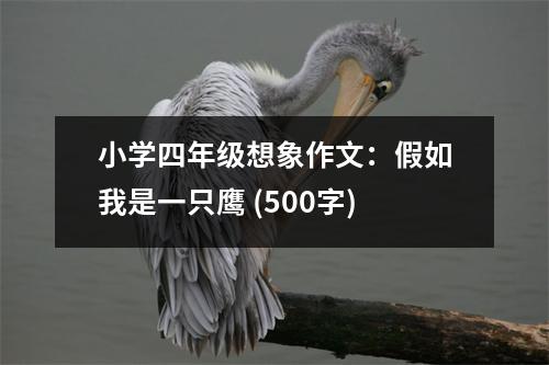 小學(xué)四年級(jí)想象作文：假如我是一只鷹 (500字)