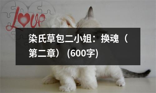 染氏草包二小姐：換魂（第二章） (600字)