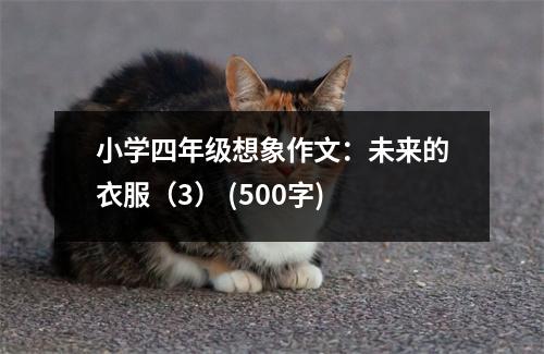 小學(xué)四年級(jí)想象作文：未來(lái)的衣服（3） (500字)