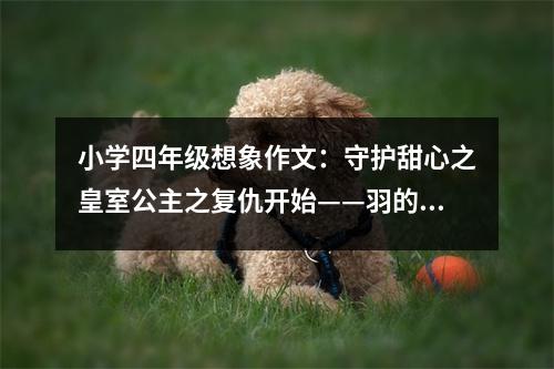 小學(xué)四年級(jí)想象作文：守護(hù)甜心之皇室公主之復(fù)仇開始——羽的告白（二） (500字)