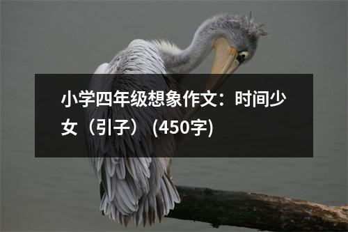 小學(xué)四年級(jí)想象作文：時(shí)間少女（引子） (450字)