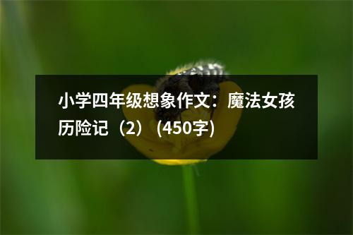 小學(xué)四年級想象作文：魔法女孩歷險記（2） (450字)