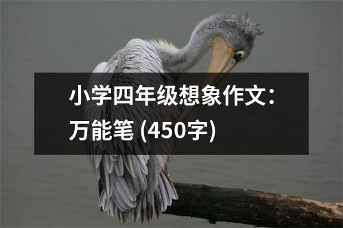 小學(xué)四年級(jí)想象作文：萬(wàn)能筆 (450字)