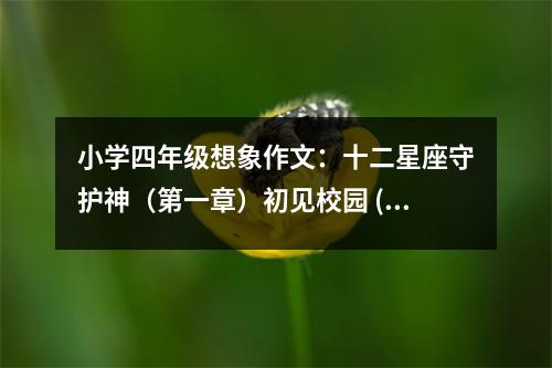小學(xué)四年級(jí)想象作文：十二星座守護(hù)神（第一章）初見校園 (450字)