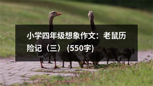 小學(xué)四年級(jí)想象作文：老鼠歷險(xiǎn)記（三） (550字)