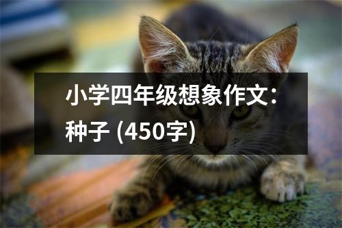 小學(xué)四年級(jí)想象作文：種子 (450字)