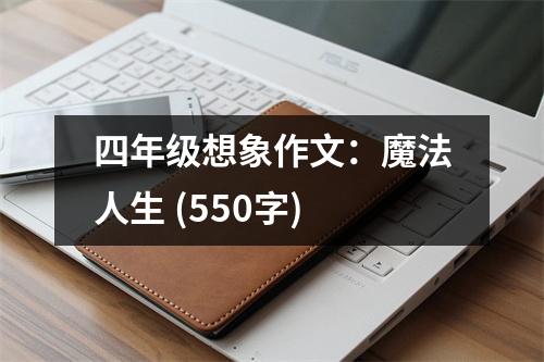 四年級想象作文：魔法人生 (550字)