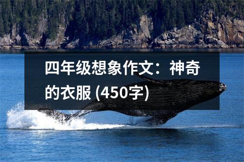 四年級想象作文：神奇的衣服 (450字)
