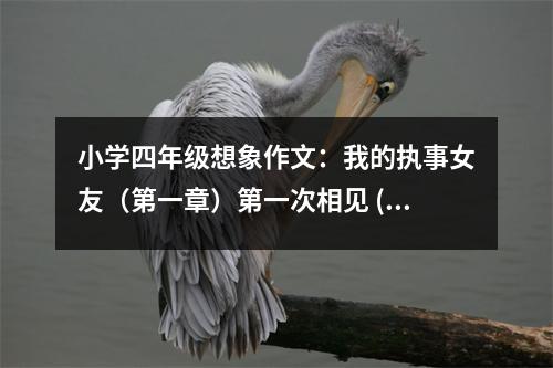 小學(xué)四年級想象作文：我的執(zhí)事女友（第一章）第一次相見 (400字)