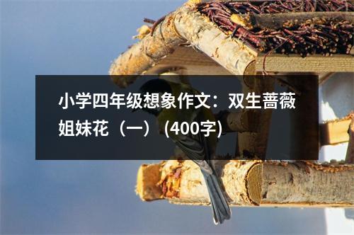 小學(xué)四年級想象作文：雙生薔薇姐妹花（一） (400字)