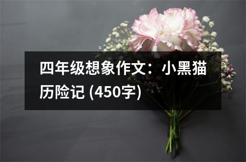 四年級想象作文：小黑貓歷險(xiǎn)記 (450字)