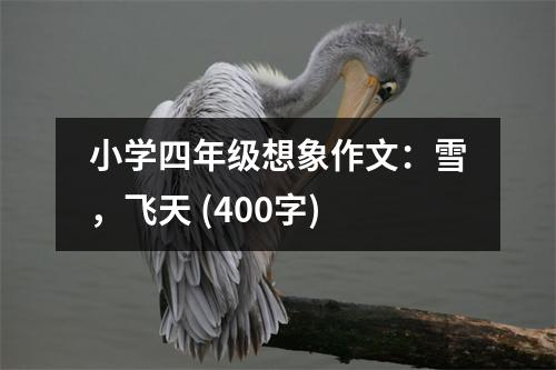小學(xué)四年級想象作文：雪，飛天 (400字)