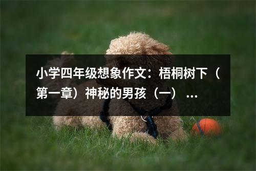 小學(xué)四年級想象作文：梧桐樹下（第一章）神秘的男孩（一） (500字)