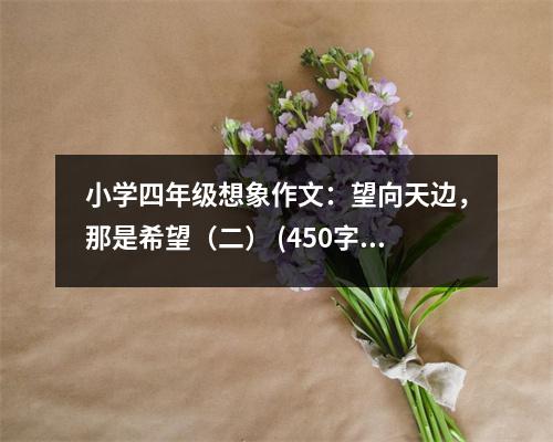 小學(xué)四年級想象作文：望向天邊，那是希望（二） (450字)