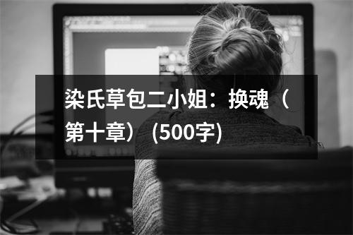 染氏草包二小姐：換魂（第十章） (500字)