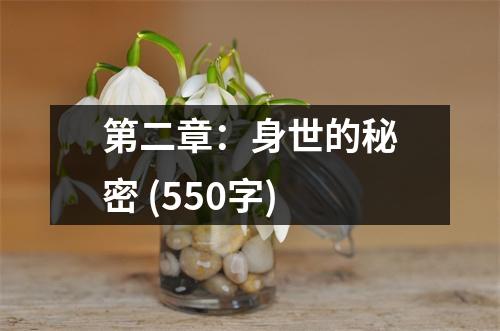 第二章：身世的秘密 (550字)