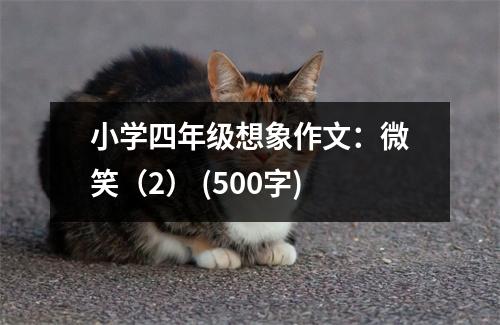 小學(xué)四年級(jí)想象作文：微笑（2） (500字)