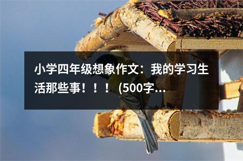 小學(xué)四年級想象作文：我的學(xué)習(xí)生活那些事?。?！ (500字)