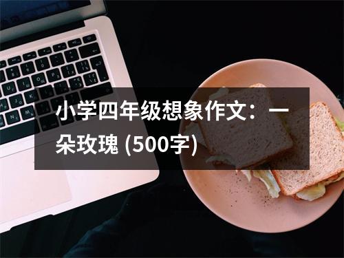 小學(xué)四年級(jí)想象作文：一朵玫瑰 (500字)