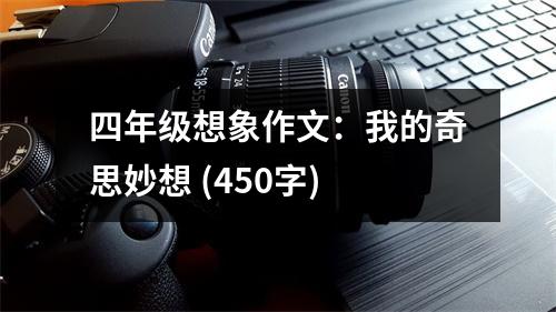 四年級(jí)想象作文：我的奇思妙想 (450字)