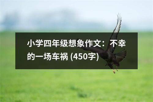 小學(xué)四年級(jí)想象作文：不幸的一場(chǎng)車禍 (450字)