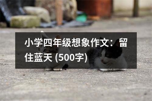 小學(xué)四年級想象作文：留住藍(lán)天 (500字)