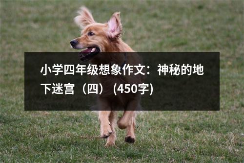 小學四年級想象作文：神秘的地下迷宮（四） (450字)