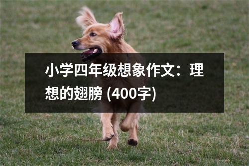 小學(xué)四年級(jí)想象作文：理想的翅膀 (400字)