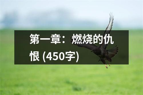 第一章：燃燒的仇恨 (450字)