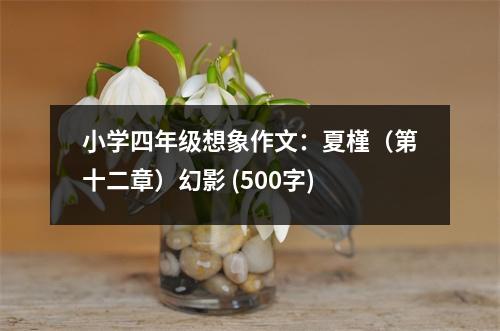 小學(xué)四年級(jí)想象作文：夏槿（第十二章）幻影 (500字)