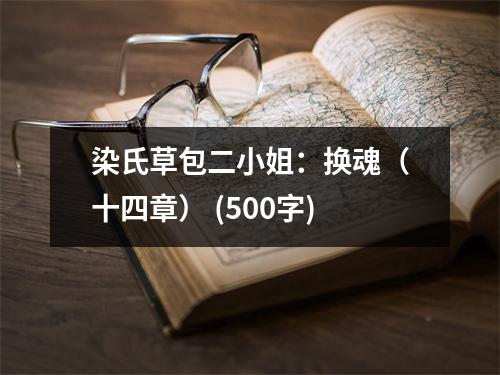 染氏草包二小姐：換魂（十四章） (500字)