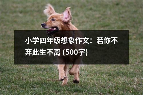 小學(xué)四年級(jí)想象作文：若你不棄此生不離 (500字)