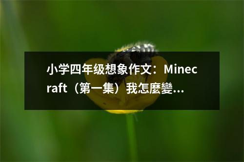 小學(xué)四年級(jí)想象作文：Minecraft（第一集）我怎麼變成了方塊人 (550字)