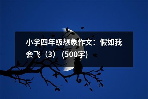 小學(xué)四年級(jí)想象作文：假如我會(huì)飛（3） (500字)