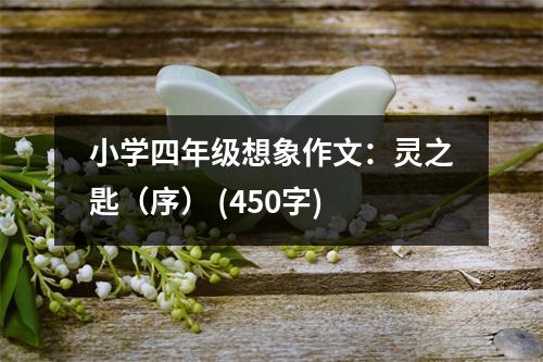 小學(xué)四年級(jí)想象作文：靈之匙（序） (450字)