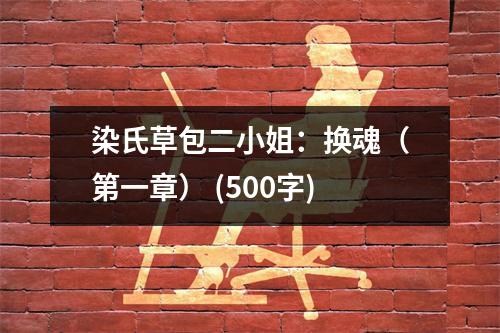 染氏草包二小姐：換魂（第一章） (500字)