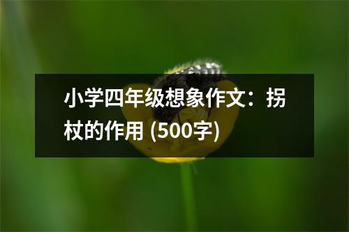 小學(xué)四年級想象作文：拐杖的作用 (500字)