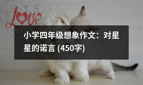 小學(xué)四年級想象作文：對星星的諾言 (450字)