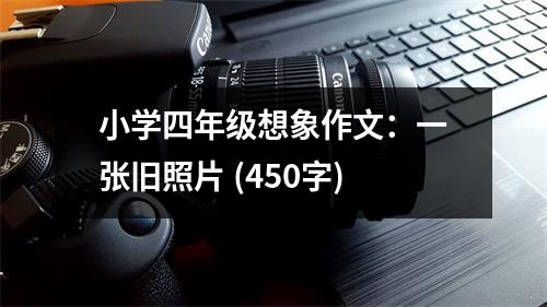 小學(xué)四年級想象作文：一張舊照片 (450字)