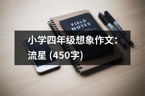 小學(xué)四年級想象作文：流星 (450字)