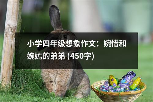 小學(xué)四年級想象作文：婉惜和婉嫣的弟弟 (450字)