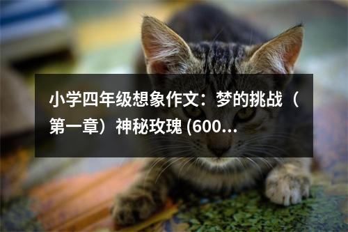 小學(xué)四年級(jí)想象作文：夢(mèng)的挑戰(zhàn)（第一章）神秘玫瑰 (600字)