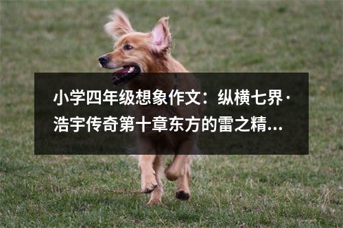 小學四年級想象作文：縱橫七界·浩宇傳奇第十章東方的雷之精魄(一) (450字)