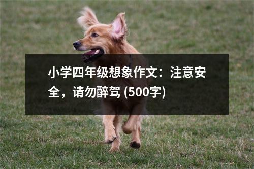 小學(xué)四年級(jí)想象作文：注意安全，請(qǐng)勿醉駕 (500字)
