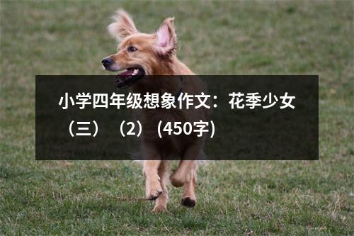 小學(xué)四年級(jí)想象作文：花季少女（三）（2） (450字)
