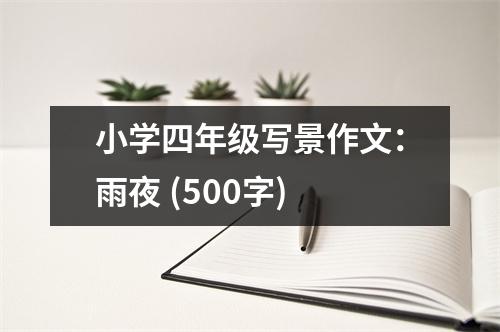 小學四年級寫景作文：雨夜 (500字)
