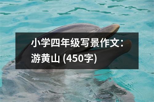 小學(xué)四年級寫景作文：游黃山 (450字)