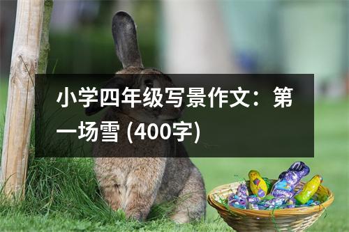 小學(xué)四年級寫景作文：第一場雪 (400字)