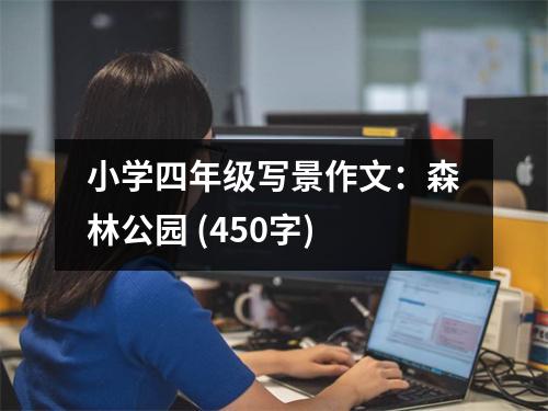 小學(xué)四年級(jí)寫景作文：森林公園 (450字)